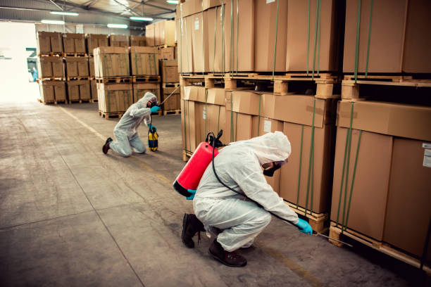 Best Pest Removal Services  in Campbellsville, KY